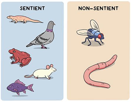 list of sentient animals.